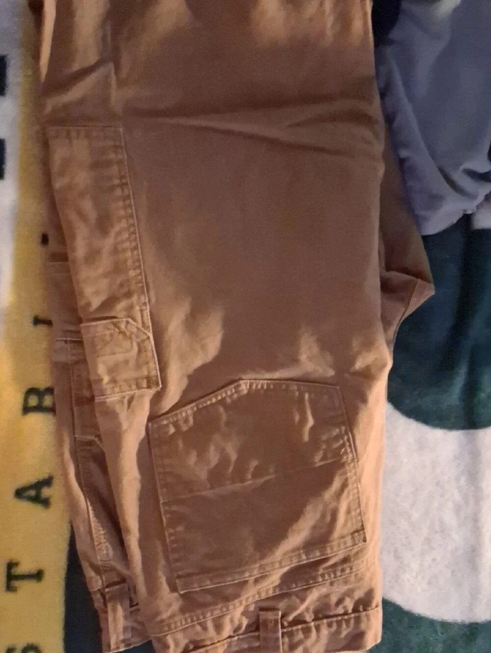 Brahma Men's Cargo Pants in Brown